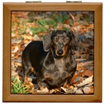 Weiner Dog Keepsake Box